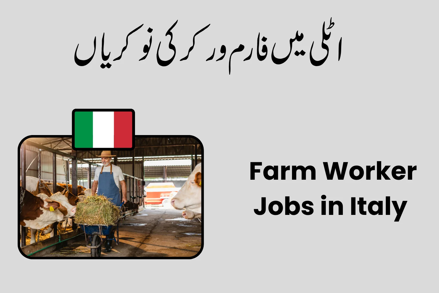 Farm Worker Jobs in Italy 2026