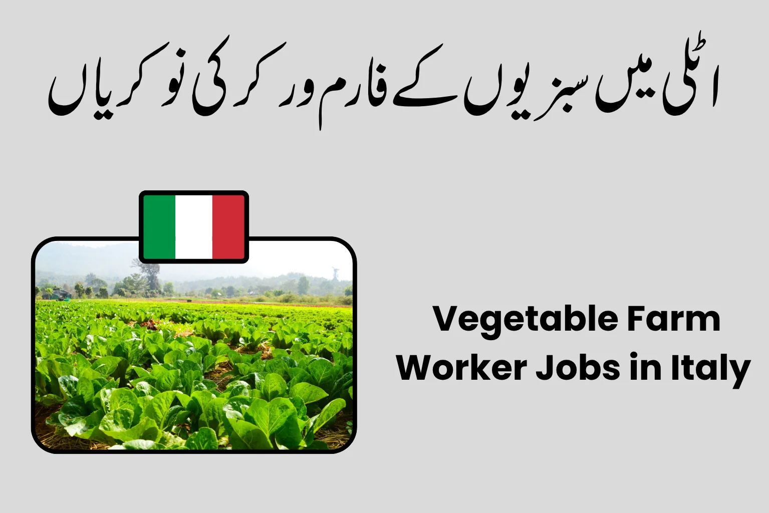 Vegetable Farm Worker Jobs in Italy 2026